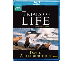 Trials of Life [Reino Unido] [Blu-ray]