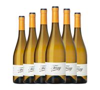 Triay Blanc Godello Monterrei Joven 75 cl Vino blanco (Caja de 6 Botellas de 75 cl)