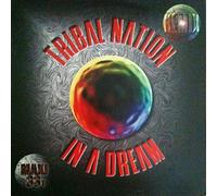 Tribal Nation - In a Dream [Vinilo]