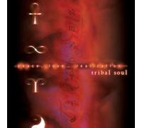 Tribal Soul - Peace Love Realization