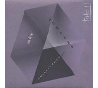 Tribe 11 - Six Degrees of Desperation