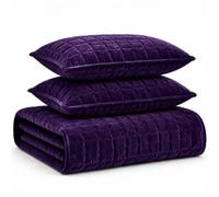 Tribeca Living Juego de edredón de Terciopelo tamaño Queen, Ropa de Cama de Tres Piezas, Incluye edredón de Gran tamaño y Dos Fundas, Terciopelo Muy Suave de 260 g/m², Color Morado