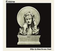 Tribulation – Where The Gloom Becomes Sound – CD – Importación USA