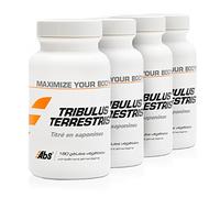 TRIBULUS TERRESTRIS OFERTA 3+1 GRATIS | 470 mg / 720 cápsulas | Titulado al 85% en saponinas | Energia (fatiga), Rendimiento deportivo (dolores musculares) |