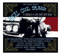 Tribute To Dum Dum Boys - Real Cool Trash !