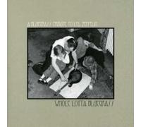 Tribute to Led Zeppelin - Bluegrass Tribute to Led Zeppe