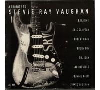 Tribute To S.r. Vaughan/ntsc/80min [Francia] [DVD]