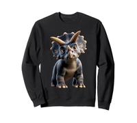 Triceratops Dinosaurio I Love Dinosaurs Cute Triceratops Sudadera
