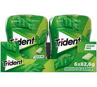 Trident Fresh Bottle Hierbabuena - Chicles sin azúcar - 6 botes de 82,6 g
