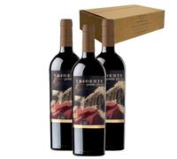 Tridente Prieto Picudo - Ideal para Maridar con Carne y Comida Mediterránea - Pack 3 Botellas 75cl