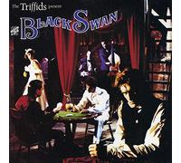Triffids - Black swan (1989)