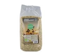 Trigo Sarraceno Sin Gluten Bio | 1 kg | Naturitas Essentials | En Grano