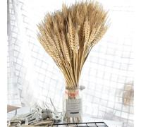 Trigo Seco Decorativo, Ramos De Trigo Seco, Paquete De Tallos De Trigos Naturales De 100 Piezas, Ramo Cereal Dorado Para Boda, Tallos De Espiga De Campo