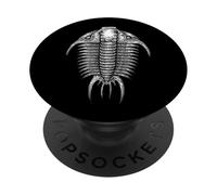 Trilobite Fossil Artrópodo Antiguo Dorsal Ver Paleontología PopSockets PopGrip Adhesivo