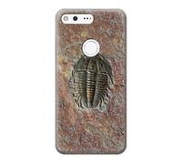 Trilobite Fossil Funda Carcasa Case para Google Pixel XL