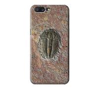 Trilobite Fossil Funda Carcasa Case para OnePlus 5