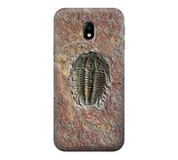 Trilobite Fossil Funda Carcasa Case para Samsung Galaxy J3 (2017) EU Version