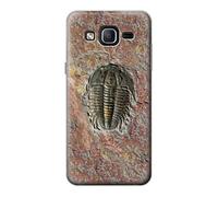 Trilobite Fossil Funda Carcasa Case para Samsung Galaxy On5
