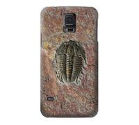 Trilobite Fossil Funda Carcasa Case para Samsung Galaxy S5