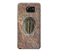 Trilobite Fossil Funda Carcasa Case para Samsung Galaxy S6 Edge Plus