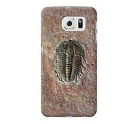 Trilobite Fossil Funda Carcasa Case para Samsung Galaxy S7 Edge