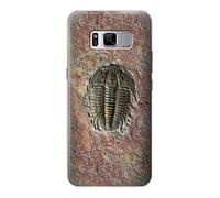 Trilobite Fossil Funda Carcasa Case para Samsung Galaxy S8 Plus