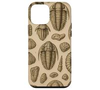 Trilobites Fossils and Rocks Pattern for Fossil Hunters Carcasa para iPhone 12 Mini