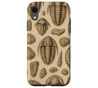 Trilobites Fossils and Rocks Pattern for Fossil Hunters Carcasa para iPhone XR