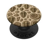 Trilobites Fossils and Rocks Pattern for Fossil Hunters PopSockets PopGrip Adhesivo