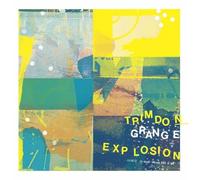 Trimdon Grange Explosion - Dreams Buried Under The Sea [VINYL] [Vinilo]