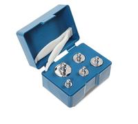 Trimming Shop Báscula de 100 g, cromada para una calibración precisa y comprobar la precisión de balanzas digitales y de bolsillo, joyas y básculas de cocina (5 unidades)