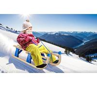 Trineo de madera - Trineo de nieve - Carro - Plegable - Con cordón y alicates para bolas de nieve - Deslizadores de acero - Capacidad de carga de 130 kg - Sin respaldo