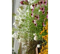 TRINITY OF COLORS JOURNAL