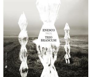 Trio Brancusi - Trios Avec Piano Serenade Lointaine