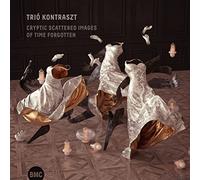 Trio Kontraszt - Cryptic Scattered Images Of Time Forgotten