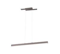 Trio Leuchten Belfast 375510407 - Lámpara de techo led (metal níquel mate, incluye 44 W, regulador de intensidad)