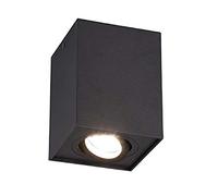 Trio Leuchten Biscuit 613000132 - Lámpara de techo (metal, 1 bombilla GU10, clase energética A+), color negro mate