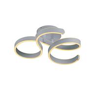 Trio Leuchten Francis 671310131 - Lámpara LED de techo (metal mate, incluye bombilla LED de 40 W, regulador de intensidad)
