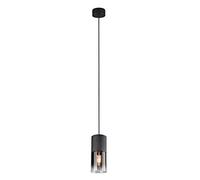 Trio Lighting 310600132 Robin - Lámpara de techo colgante, metal negro mate, cristal ahumado, 1 bombilla E27
