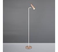 Trio Lighting Lámpara de pie Marley, marrón/gris claro, altura 151 cm, metal