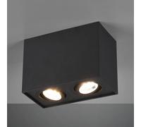 Trio Lighting Lámpara de techo Biscuit, 2 luces, negro