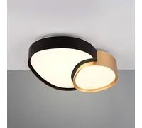 Trio Lighting Lámpara de techo LED Rise, negro-oro, 43 x 36 cm, CCT, atenuable