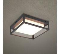 Trio Lighting Plafón para exterior LED Witham IP54, CCT, antracita True