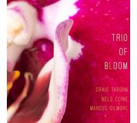 Trio of Bloom Trio of Bloom (CD) (Importación USA)