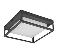 Trio, Plafón, Witham incl. 1 x LED,SMD,14,0 Watt,2300+3000+4000K,1550 Lm. Cuerpo: Metal, Antracita A:30,0cm, L:30,0cm, A:10,0cm Montaje en techo y pared,IP54,DIP-Switch,No regulable