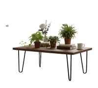 Trío Sostenible DECOALIVE Plantas Naturales Helecho, Hiedra y Potho Crea tu Espacio Verde