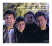 Trio Wanderer - Songs From The British Isles : The Pulse Of An Irishman Artist