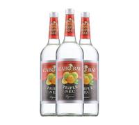 Triple Seco Wilhelm Braun Cabo Bay Triple Sec 1 L (Caja de 3 Botellas de 1 L)