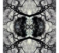 Tripp Dudley Sonic Mandala Go: Organic Orchestra (CD) (Importación USA)