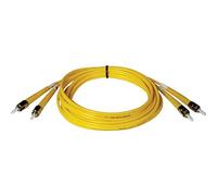 Tripp Lite Cable de conexión de Fibra dúplex monomodo 8.3/125 (ST/ST), 3 m (N352-03M)